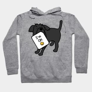 Dog says Im OK Hoodie